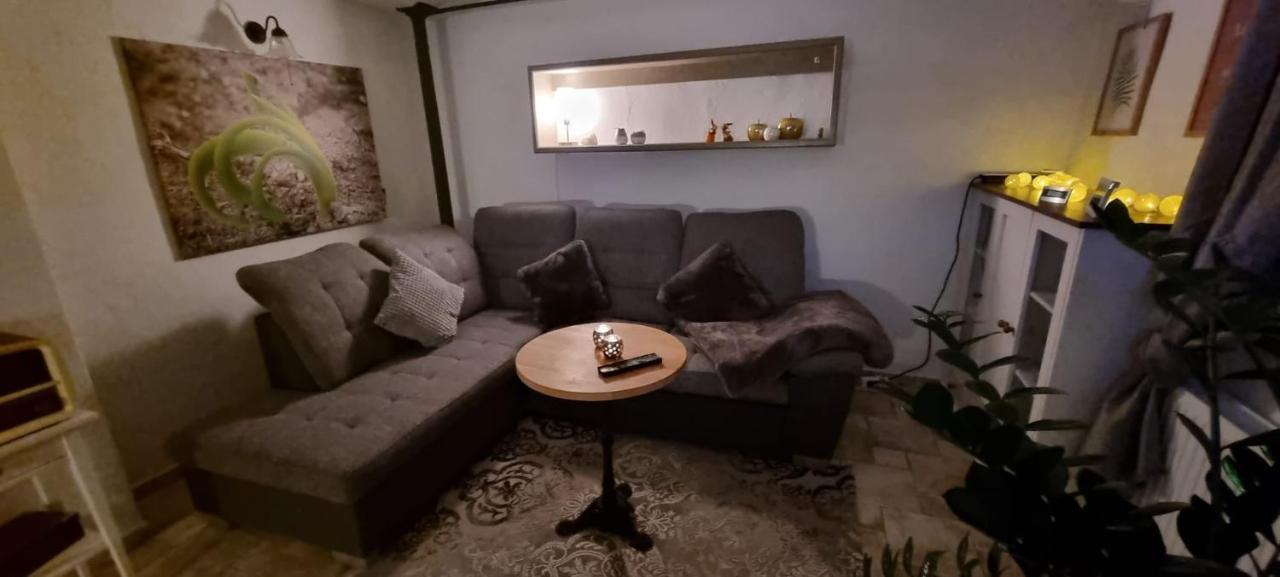 Monteur-Ferienwohnung Ot Naundorf Naundorf  Экстерьер фото